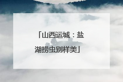 山西运城：盐湖捞虫别样美
