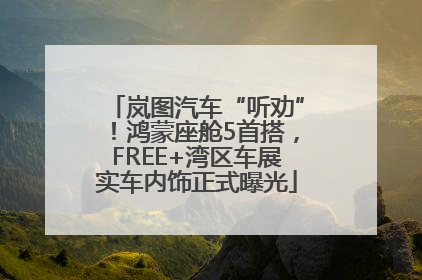岚图汽车“听劝”！鸿蒙座舱5首搭，FREE+湾区车展实车内饰正式曝光