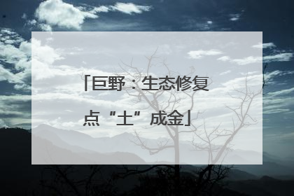 巨野：生态修复点“土”成金