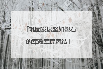 巩固发展坚如磐石的军政军民团结
