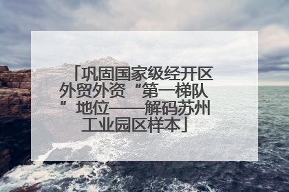 巩固国家级经开区外贸外资“第一梯队”地位——解码苏州工业园区样本