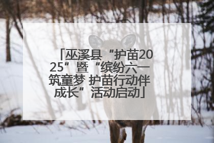 巫溪县“护苗2025”暨“缤纷六一筑童梦 护苗行动伴成长”活动启动