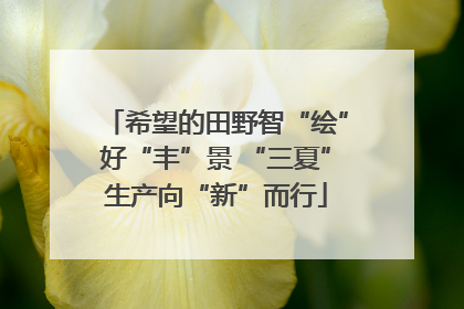 希望的田野智“绘”好“丰”景 “三夏”生产向“新”而行