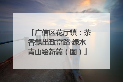 广信区花厅镇：茶香飘出致富路 绿水青山绘新篇（图）