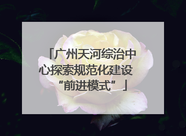 广州天河综治中心探索规范化建设“前进模式”