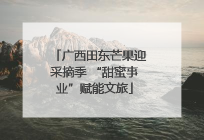 广西田东芒果迎采摘季 “甜蜜事业”赋能文旅