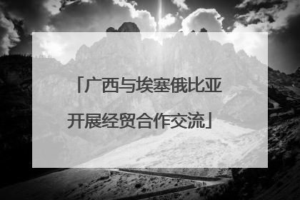 广西与埃塞俄比亚开展经贸合作交流