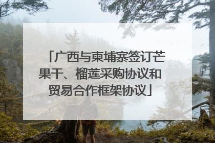 广西与柬埔寨签订芒果干、榴莲采购协议和贸易合作框架协议