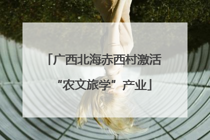 广西北海赤西村激活“农文旅学”产业