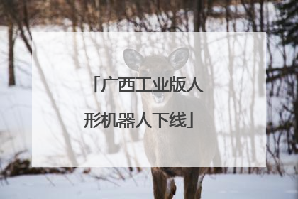 广西工业版人形机器人下线
