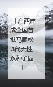 广西建成全国首批马尾松3代无性系种子园