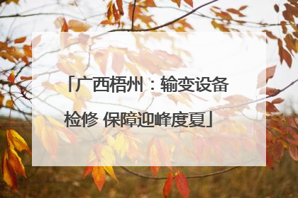 广西梧州：输变设备检修 保障迎峰度夏