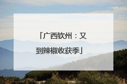 广西钦州：又到辣椒收获季