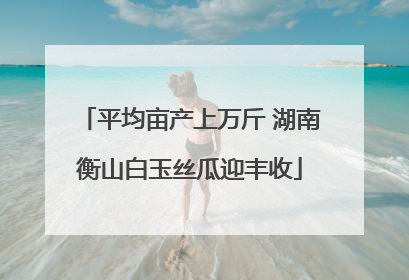 平均亩产上万斤 湖南衡山白玉丝瓜迎丰收
