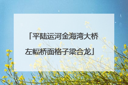 平陆运河金海湾大桥左幅桥面格子梁合龙