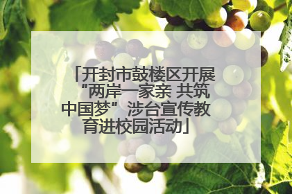 开封市鼓楼区开展“两岸一家亲 共筑中国梦”涉台宣传教育进校园活动