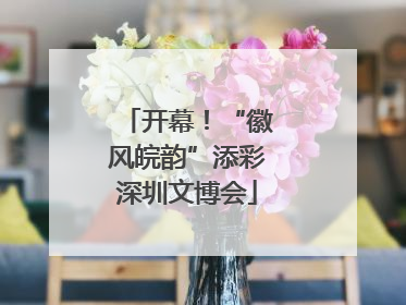 开幕！“徽风皖韵”添彩深圳文博会