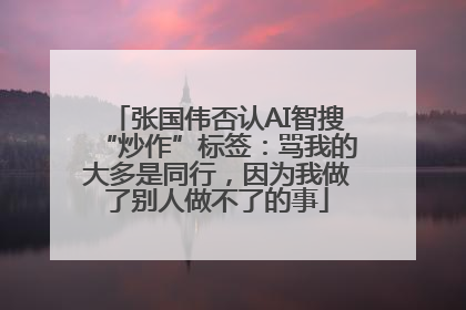 张国伟否认AI智搜“炒作”标签：骂我的大多是同行，因为我做了别人做不了的事