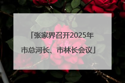 张家界召开2025年市总河长、市林长会议
