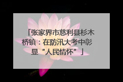 张家界市慈利县杉木桥镇：在防汛大考中彰显“人民情怀”