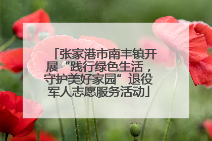 张家港市南丰镇开展“践行绿色生活，守护美好家园”退役军人志愿服务活动