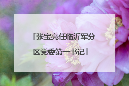 张宝亮任临沂军分区党委第一书记
