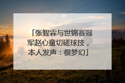 张智霖与世锦赛冠军赵心童切磋球技，本人发声：很梦幻