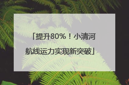 提升80％！小清河航线运力实现新突破