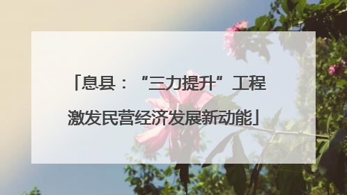 息县：“三力提升”工程 激发民营经济发展新动能