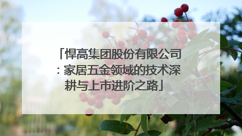 悍高集团股份有限公司：家居五金领域的技术深耕与上市进阶之路