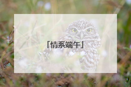 情系端午