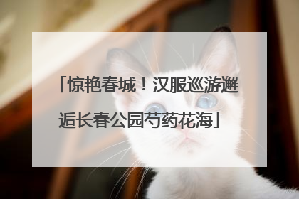惊艳春城！汉服巡游邂逅长春公园芍药花海