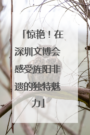 惊艳！在深圳文博会感受旌阳非遗的独特魅力