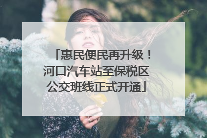 惠民便民再升级！河口汽车站至保税区公交班线正式开通