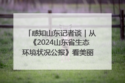 感知山东记者谈｜从《2024山东省生态环境状况公报》看美丽山东建设的“成绩单”与“任务书”