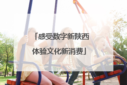 感受数字新陕西 体验文化新消费