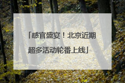 感官盛宴！北京近期超多活动轮番上线
