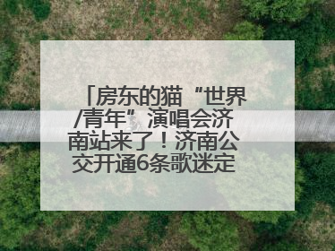 房东的猫“世界/青年”演唱会济南站来了！济南公交开通6条歌迷定制专线