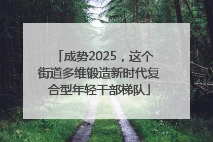 成势2025，这个街道多维锻造新时代复合型年轻干部梯队