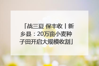 战三夏 保丰收丨新乡县：20万亩小麦种子田开启大规模收割