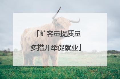 扩容量提质量 多措并举促就业