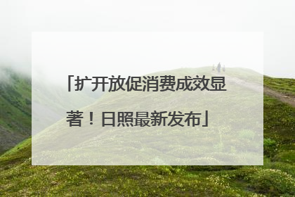 扩开放促消费成效显著！日照最新发布