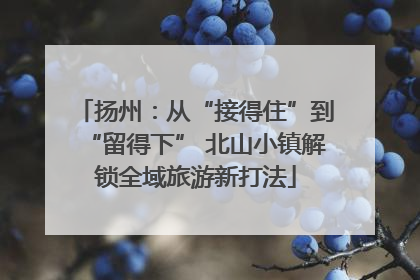 扬州：从“接得住”到“留得下” 北山小镇解锁全域旅游新打法