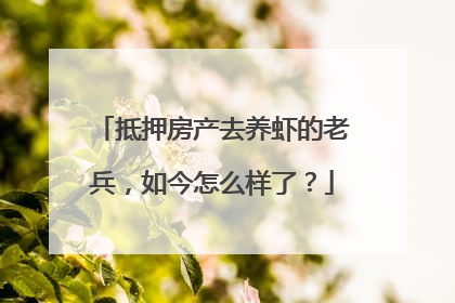 抵押房产去养虾的老兵，如今怎么样了？