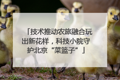 技术推动农旅融合玩出新花样，科技小院守护北京“菜篮子”