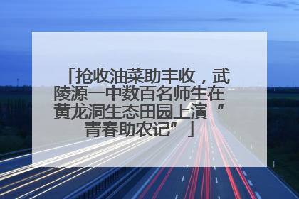 抢收油菜助丰收，武陵源一中数百名师生在黄龙洞生态田园上演“青春助农记”