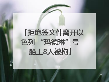 拒绝签文件离开以色列 “玛德琳”号船上8人被拘