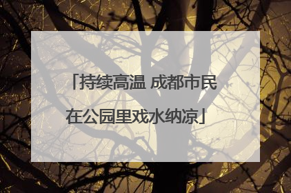 持续高温 成都市民在公园里戏水纳凉