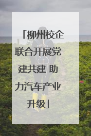 柳州校企联合开展党建共建 助力汽车产业升级