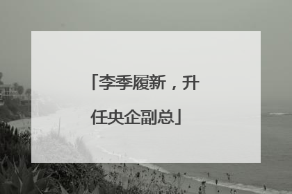 李季履新，升任央企副总